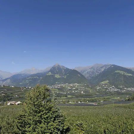 Burggraeflerhof Готель