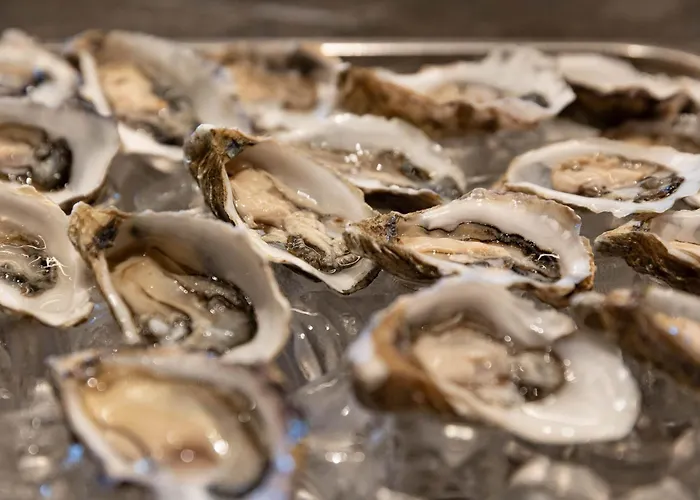 伯格拉弗勒尔霍夫酒店 酒店 4*